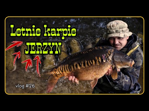 Łowisko JERZYN -karpie latem - vlog #26