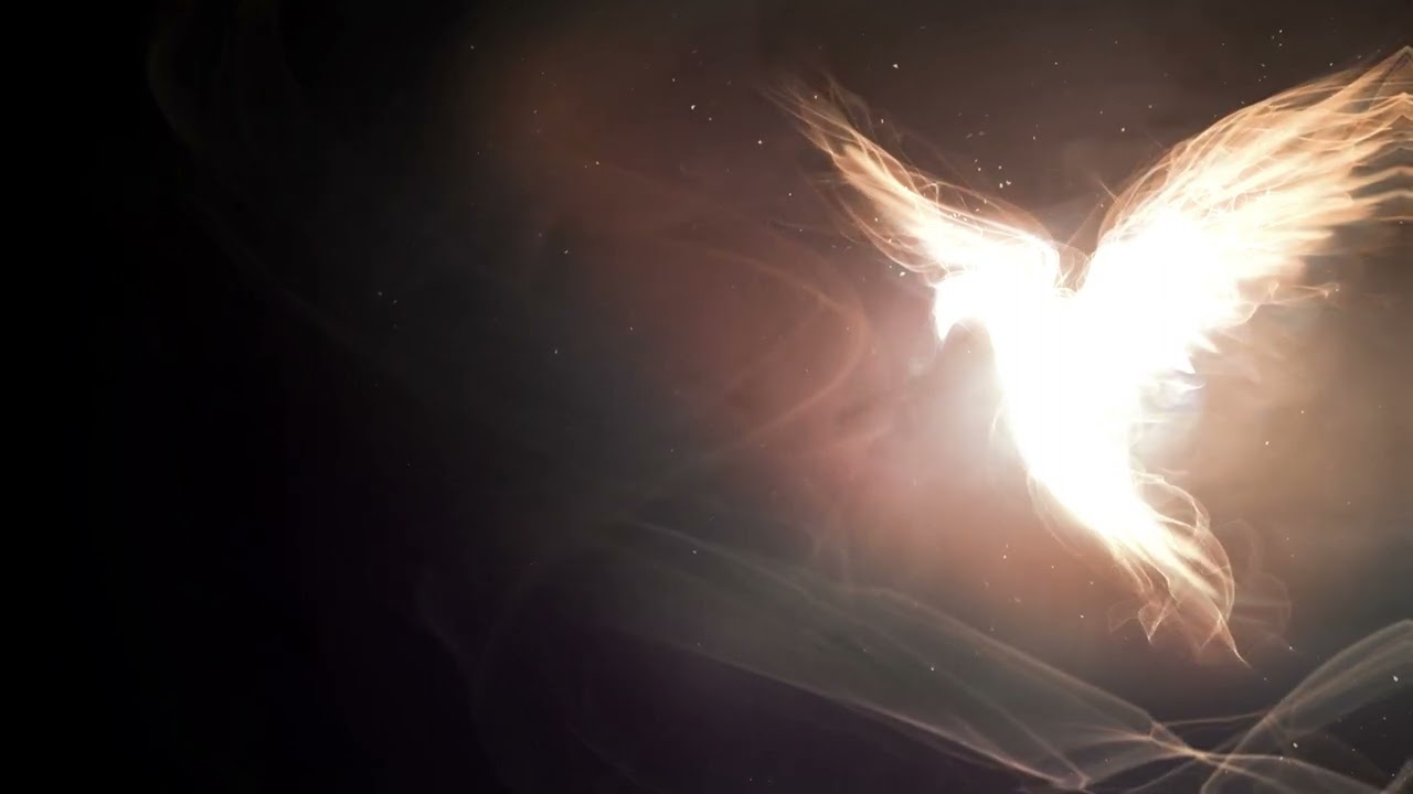 Christian Holy Spirit Peace Dove In Bright Moving White Light 4K Christian Worship Background Loop