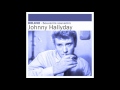Johnny Hallyday - Je cherche une fille
