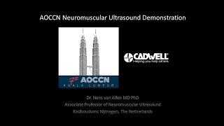Neuromuscular Ultrasound Demonstration
