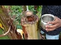 Banana stem Juice | Vazha Thand Juice In Malayalam | Food Vlog Banana Juice