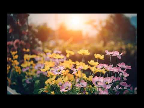 Le Monkey & Uppah - Spring For Life (Martin Waslewski Remix)