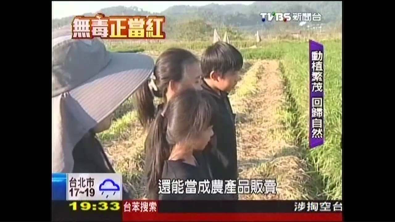 【無毒正當紅】無毒農產永續經營！　獨特「合作社」