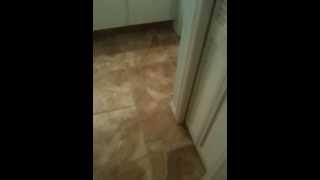 preview picture of video 'New Tampa / Wesley Chapel Florida full house tile job 18x18 porcelain tile'