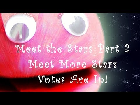 Meet the Stars Part 2 - Meet More Stars -  Votes Are In