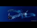 Happy Feet 2 Underwater Scene 2 Leopard Seal Attack