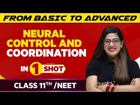 Neural Control and Coordination In One Shot | NEET/Class 11th Boards || Victory Batch