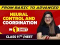 Neural Control And Coordination In One Shot NEET Class 11th Boards Victory Batch
