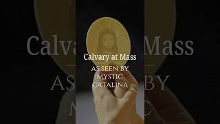 Download lagu Penglihatan Sang Mistik Mengungkap Apa yang SEBENARNYA Terjadi di Setiap Misa… mp3