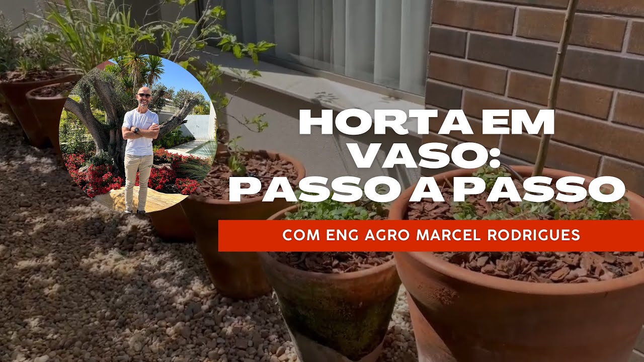 EP.7- HORTA EM VASO: passo a passo
