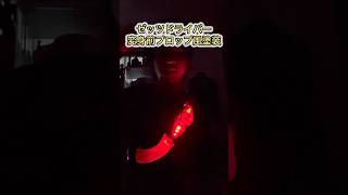 ゼッツドライバープロップ風塗装【仮面ライダーゼッツ】
