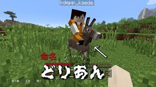 自由なやつらのマインクラフト
