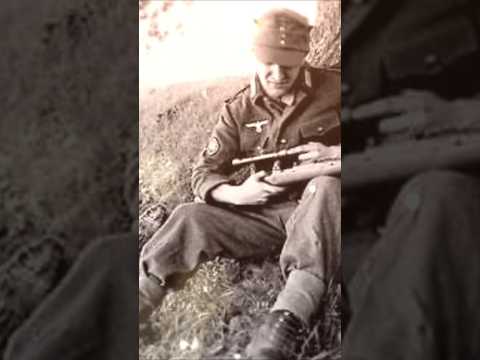 Painful Secret Behind German Sniper Accuracy in WW2 #ww2 #history #usa #military #usahistory#germany
