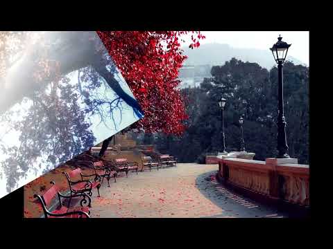 Mất đi nhân tình - Thu Khúc Minh - Sáng Tác & Thể Hiện: Thu Khúc Minh