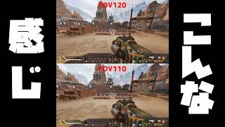 【Fov120】視野角110を超えて120にする設定のやり方！！【APEX/PC】