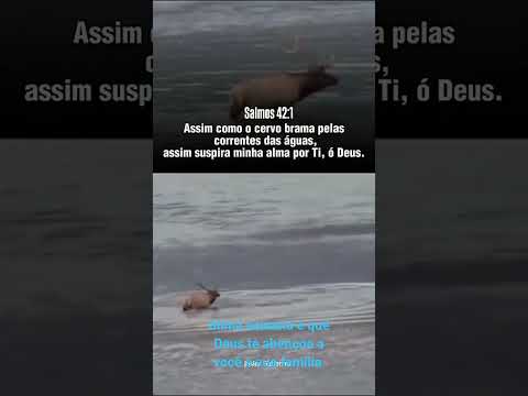 IMPD Aureny III Palmas Tocantins pr Fábio júnior mis Nazaré orando por vc e sua família