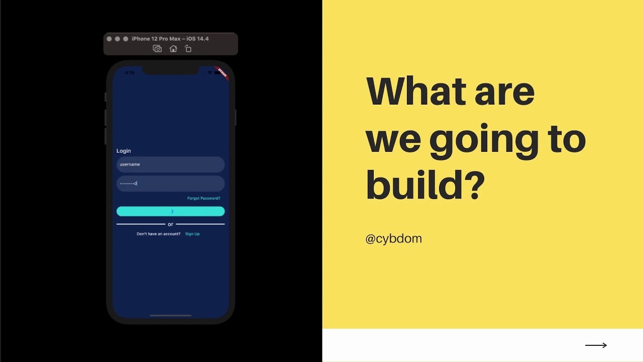 Flutter Tutorial E-Commerce App Using Strapi CMS - 1
