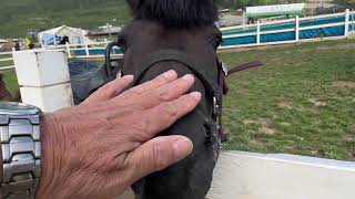 太舞スキーリゾート(その2）