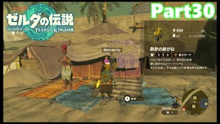 【30】ぼっち勇者の天空探検【ゼルダの伝説ティアーズオブザキングダム】