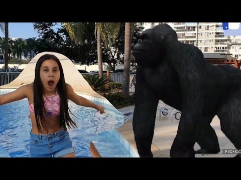 REGRAS DE CONDUTA PARA CRIANÇA NA PISCINA COM ANIMAIS