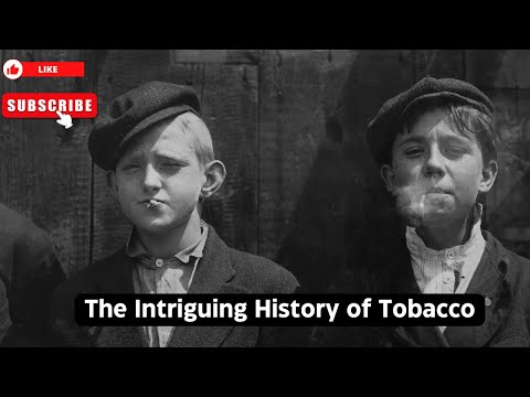 The Captivating Short History Of Tobacco