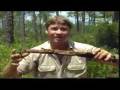 Croc Files Dangerous Americans Part 3