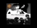 Faith and the Muse - Soul in Insolation (The Chameleons cv)