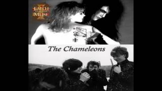 Faith and the Muse - Soul in Insolation (The Chameleons cv)