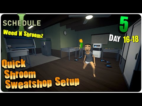 Quick Shroom Setup Using NEW HUGE Cabinet [Day 16-18] Schedule I | S3 Ep5