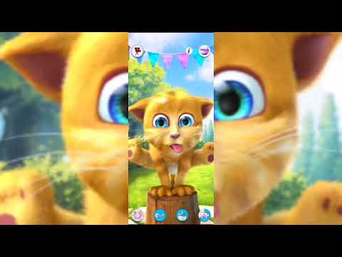 Tom the supermodel -- 7 😂🤣 funny Cat videos