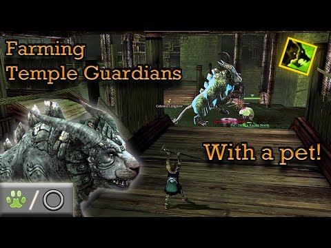Temple Guardian Farming with a Pet!  Guild Wars Ranger Farm R/Any, HM