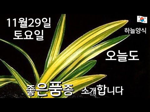 유튜브 썸네일