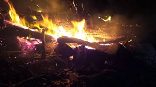 SHAPE OF DESPAIR  FOREST   SYLVAN NIGHT   / FIRE CAM