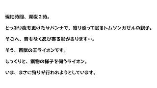 サバンナナレーション