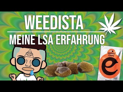 LSA ERFAHRUNGSBERICHT💊 | TripBericht | WEEDISTA