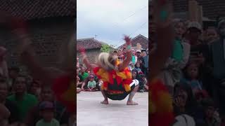 Download lagu Ganongan kentong dan pongge berkumpul atraksi #shorts mp3 Download lagu Ganongan kentong dan pongge berkumpul atraksi #shorts mp3