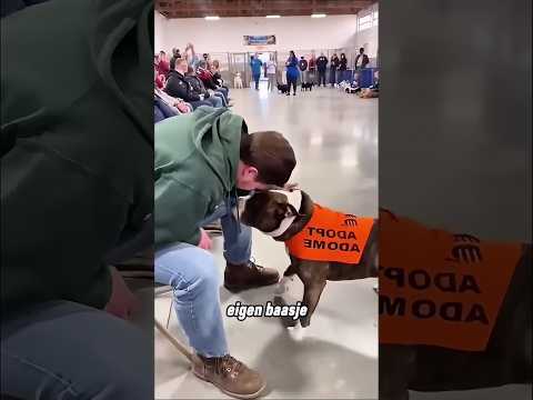 Hondenadoptie-evenement!