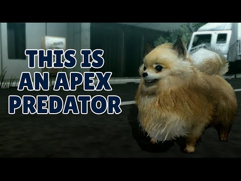 Tokyo Jungle Game Review / Retrospective