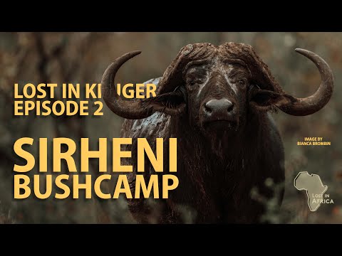 SIRHENI and the LEOPARD road - Lost in Kruger Episode 2