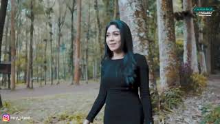 Download lagu Story wa lagu dj Divana Project Mister Mendem slow bass mp3