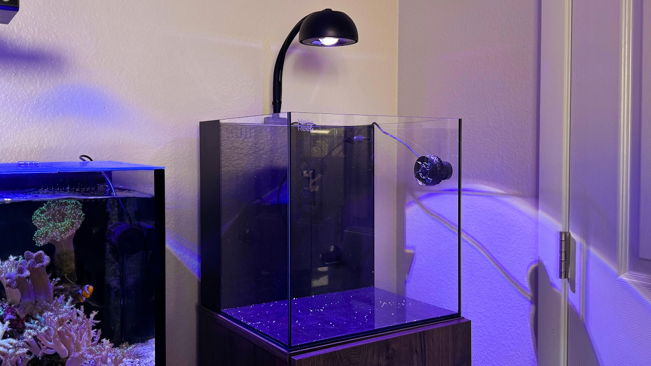 Beginner Reef Tank Equipment List: What You Need vs What Can Wait