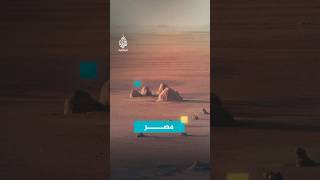 هضبة الجلف الكبير في مصر