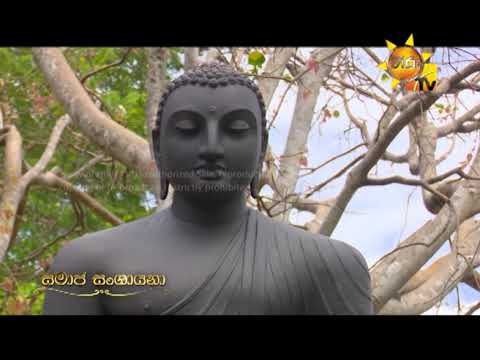 Hiru TV