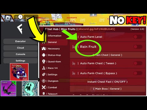 Delta Executor Blox Fruit Script - Fruit Rain Auto Farm