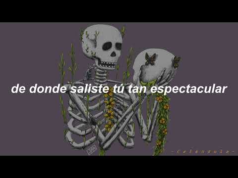 Severenda Muchacha - El Kalvo (Letra)