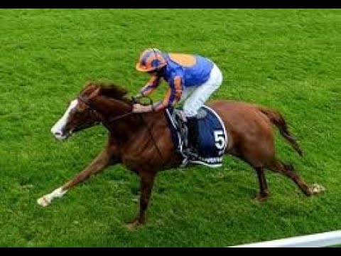 Darley Yorkshire Oaks (G1) 2020