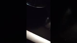 Download lagu Cooking is one of the things I want to do in my life mp3