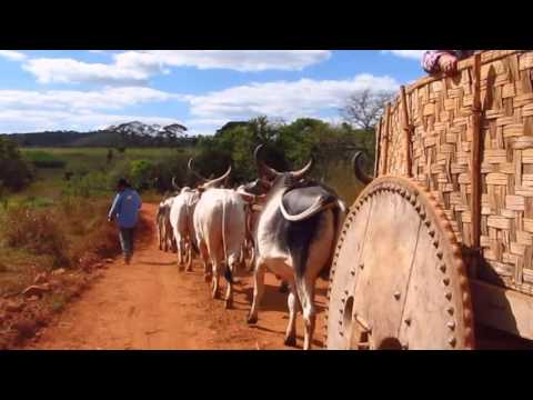 Carro Velho video