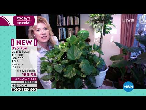 HSN | Your Best Backyard 03.12.2021 - 05 PM