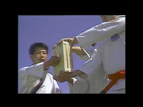 HOW TO BREAK 5 BOARDS WITH RIDGE HAND STRIKE TECHNIQUE?